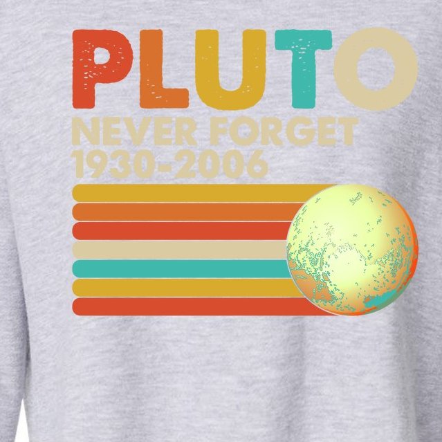 Vintage Colors Pluto Never Forget 1930-2006 Cropped Pullover Crew