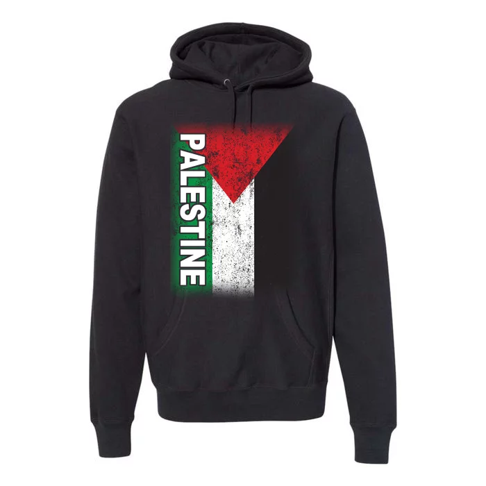 Vintage Palestine Flag Support Distressed Premium Hoodie