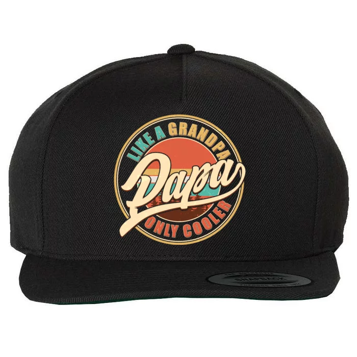 Vintage Retro Papa Like A Grandpa Only Cooler Wool Snapback Cap