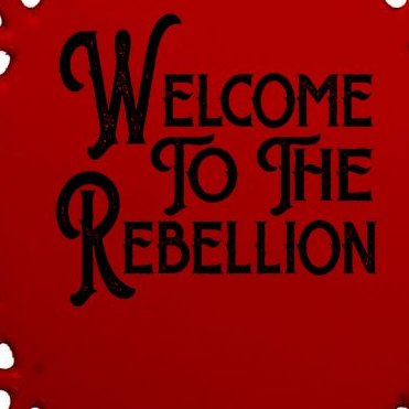 Vintage Style Welcome To The Rebellion Star Wars Oval Ornament