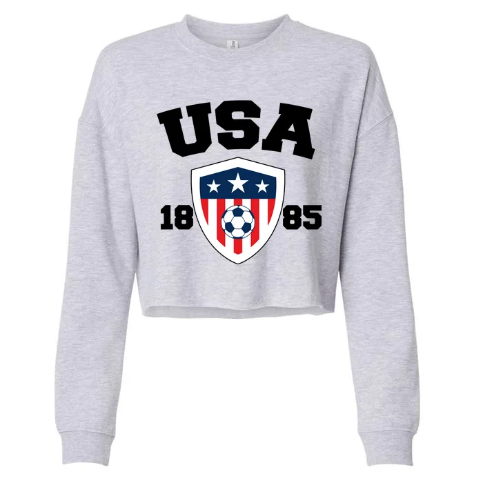 Vintage USA Soccer 1885 Cropped Pullover Crew