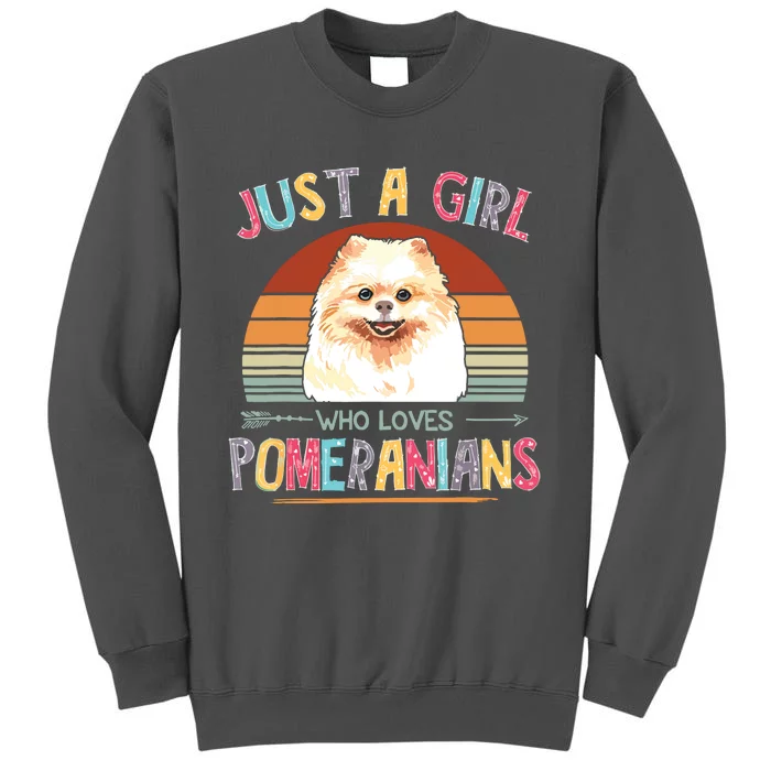 Vintage Just A Girl Who Loves Pomeranians Dog Lovers Gift Tall Sweatshirt