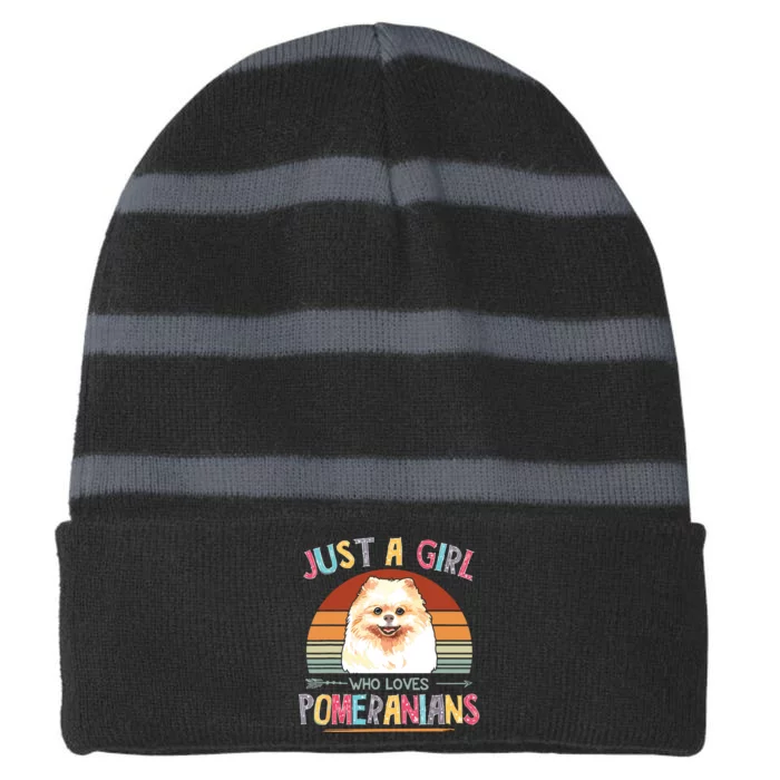 Vintage Just A Girl Who Loves Pomeranians Dog Lovers Gift Striped Beanie with Solid Band