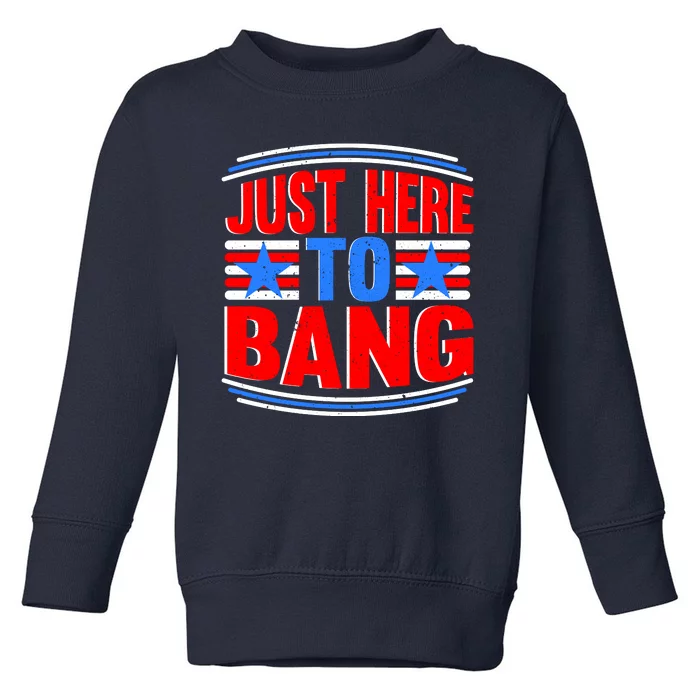 Vintage Just Here To Bang Funny 4th Of July USA Merica America Toddler Sweatshirt