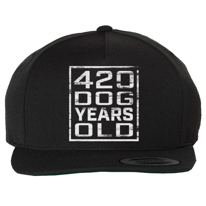 Vintage Look 420 Dog Years Old Funny 60th Birthday T Wool Snapback Cap