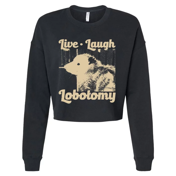 Vintage Live Laugh Lobotomy Lobotomies Retro Opossum Lovers Cropped Pullover Crew