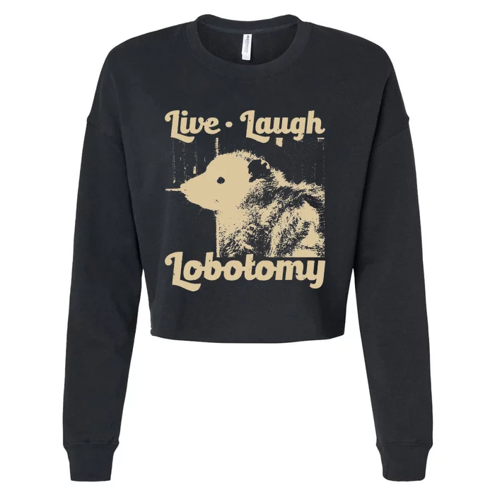 Vintage Live Laugh Lobotomy Lobotomies Retro Opossum Lovers Cropped Pullover Crew