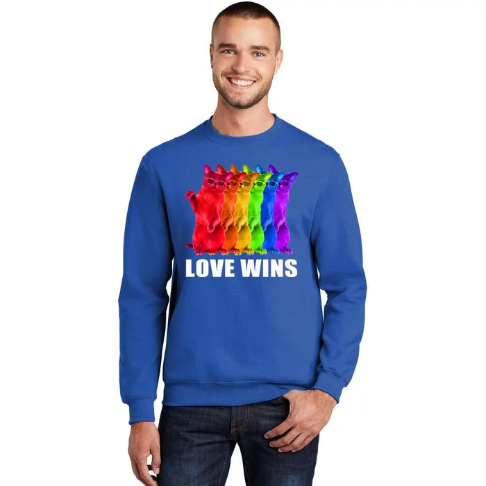 Vintage Love Win Rainbow Cat Lover Pride Lesbian Gay Lgbtq Gift Sweatshirt