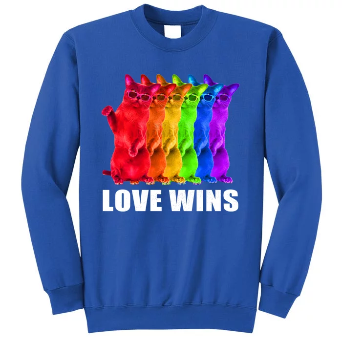 Vintage Love Win Rainbow Cat Lover Pride Lesbian Gay Lgbtq Gift Sweatshirt