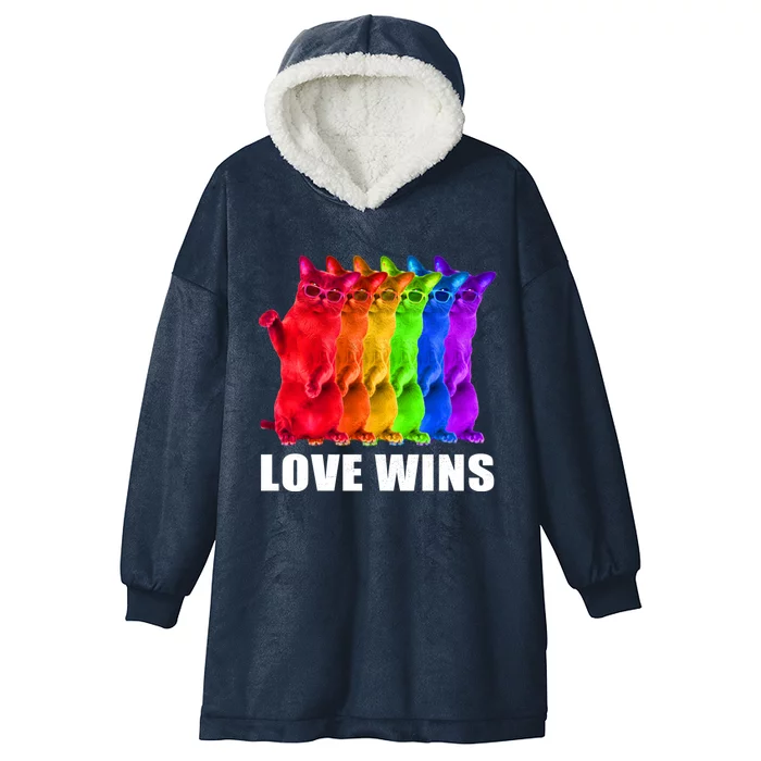 Vintage Love Win Rainbow Cat Lover Pride Lesbian Gay Lgbtq Gift Hooded Wearable Blanket