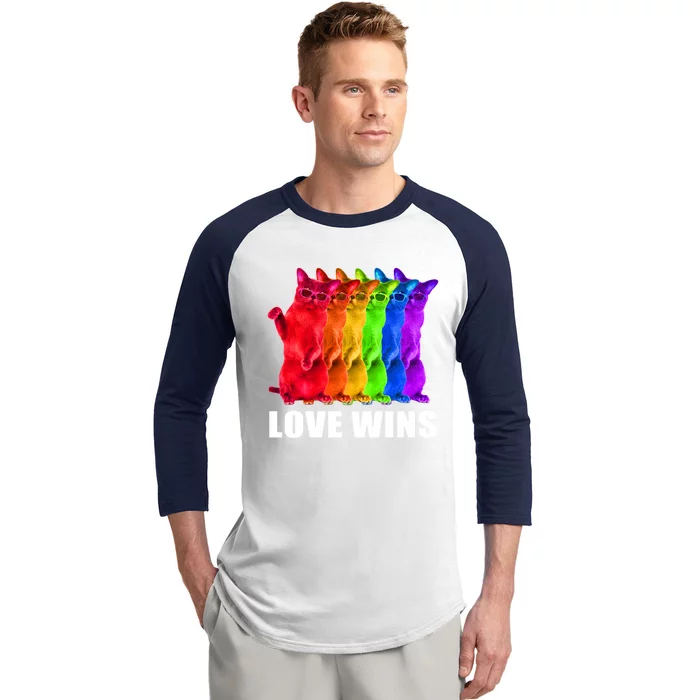 Vintage Love Win Rainbow Cat Lover Pride Lesbian Gay Lgbtq Gift Baseball Sleeve Shirt