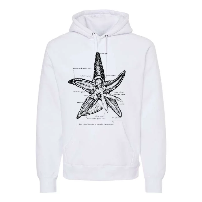 Vintage Marine Biology Starfish Sea Star Tee Premium Hoodie