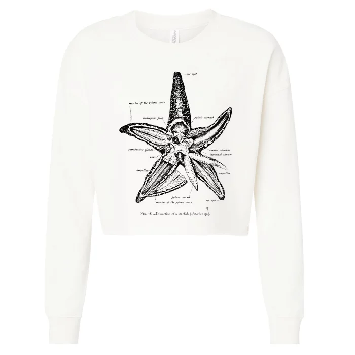 Vintage Marine Biology Starfish Sea Star Tee Cropped Pullover Crew