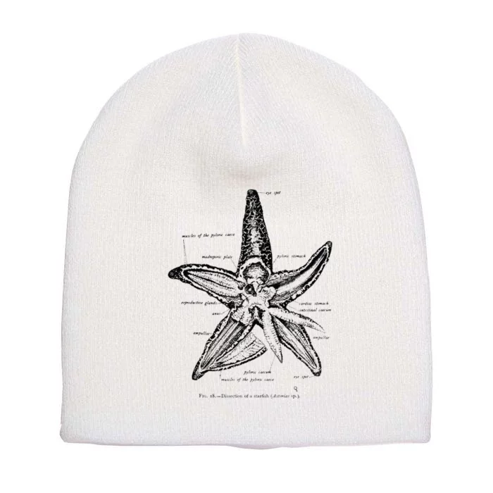 Vintage Marine Biology Starfish Sea Star Tee Short Acrylic Beanie