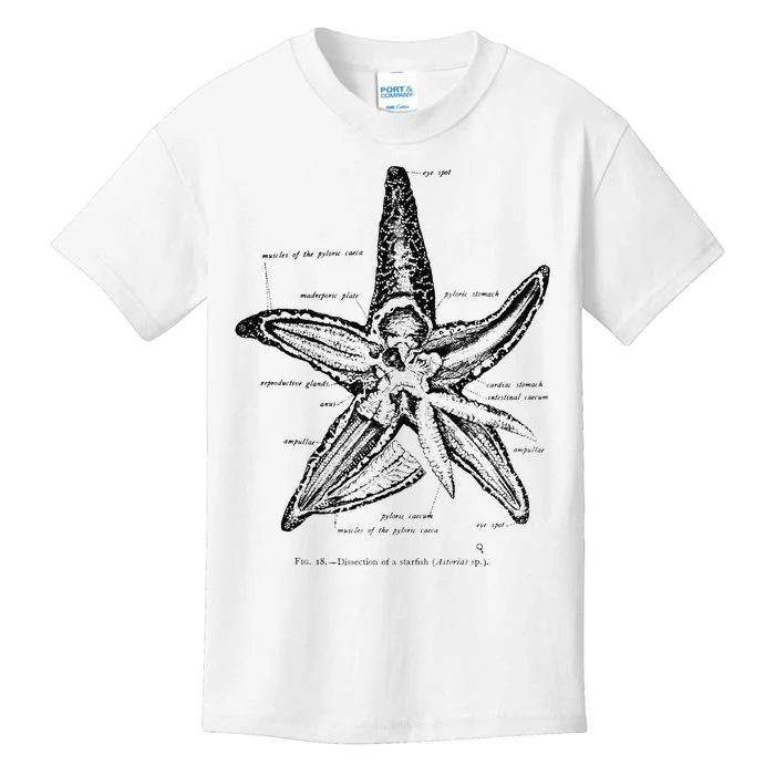 Vintage Marine Biology Starfish Sea Star Tee Kids T-Shirt