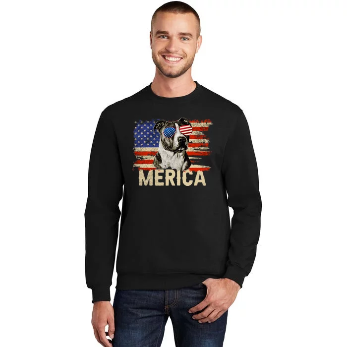 Vintage Merica Pitbull 4th Of July USA Patriotic Sunglasses Sweatshirt