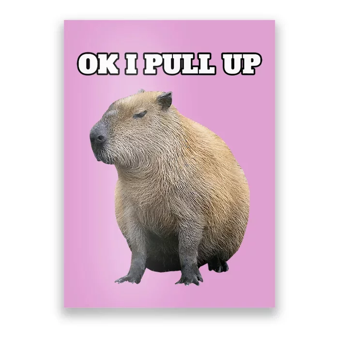 Vintage Ok I Pull Up Capybara Poster