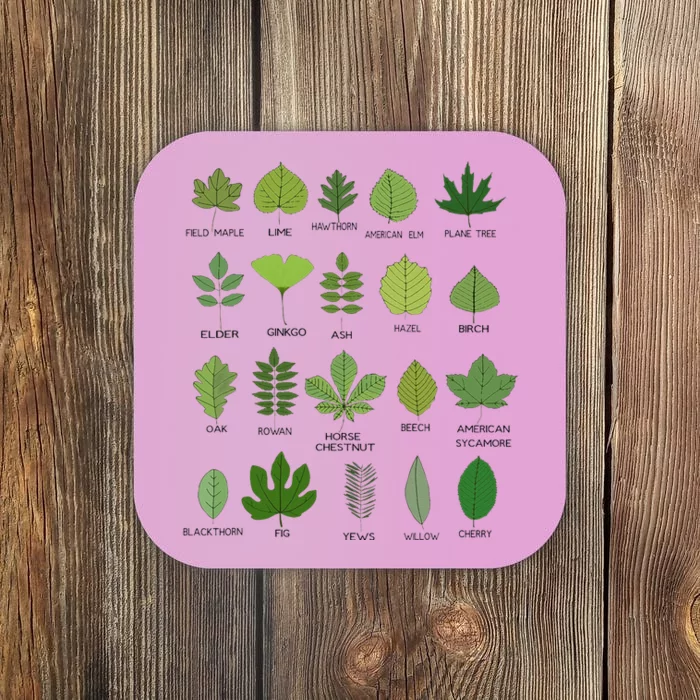 Variety of Leaf Patterns for Nature Enthusiasts Coaster