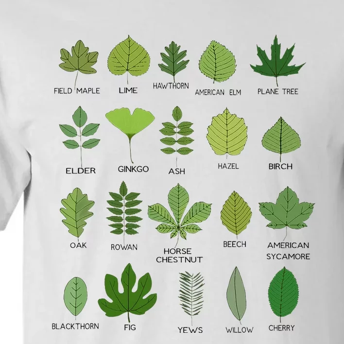 Variety of Leaf Patterns for Nature Enthusiasts Tall T-Shirt