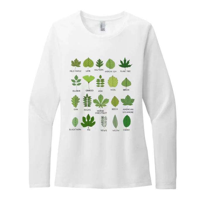 Variety of Leaf Patterns for Nature Enthusiasts Womens CVC Long Sleeve Shirt