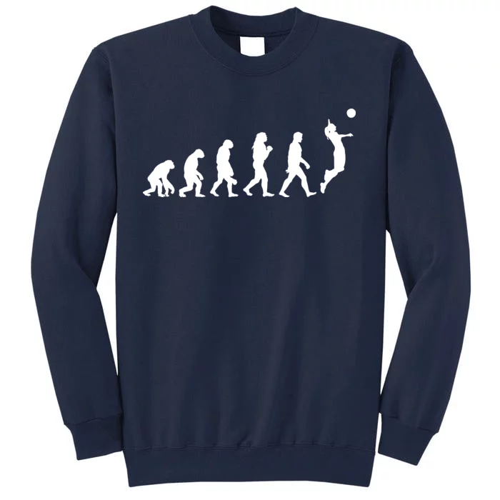 Volleyball Evolution Tall Sweatshirt