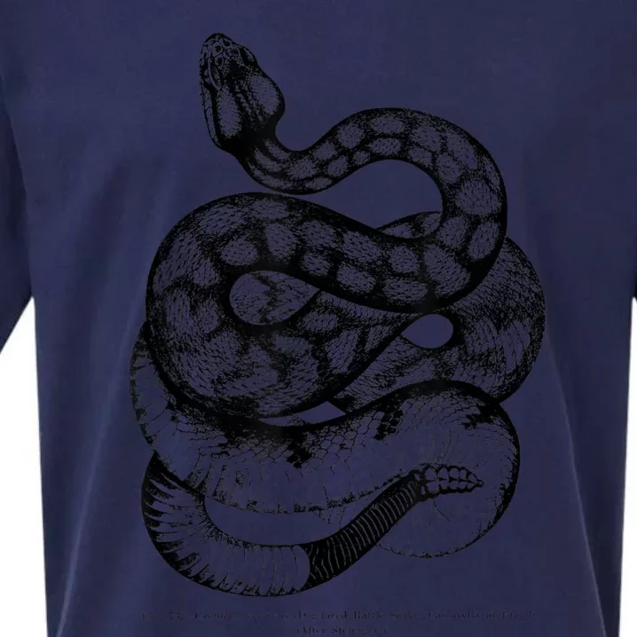 Vintage Ophiology South American Rattle Snake Tee Sueded Cloud Jersey T-Shirt