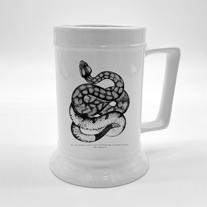 Vintage Ophiology South American Rattle Snake Tee Front & Back Beer Stein