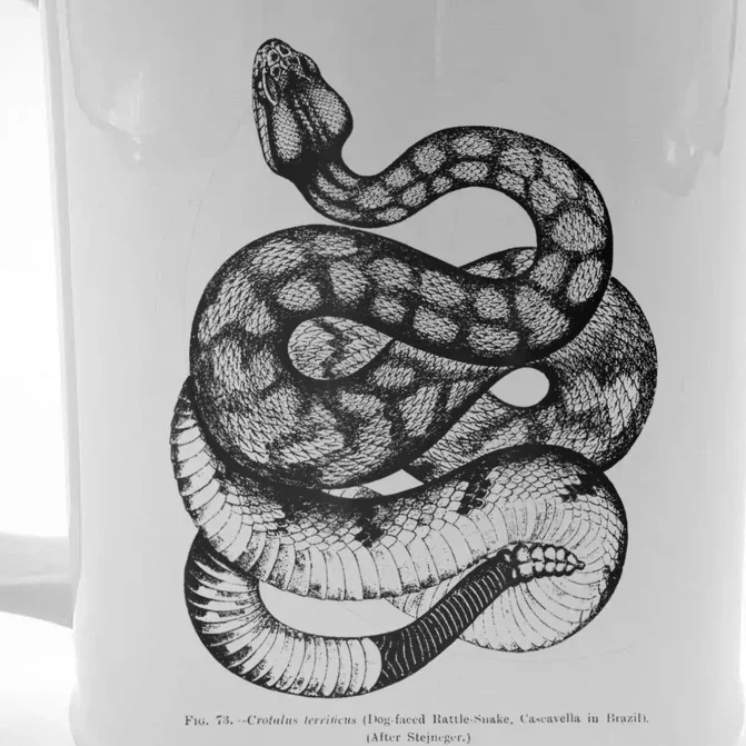 Vintage Ophiology South American Rattle Snake Tee Front & Back Beer Stein