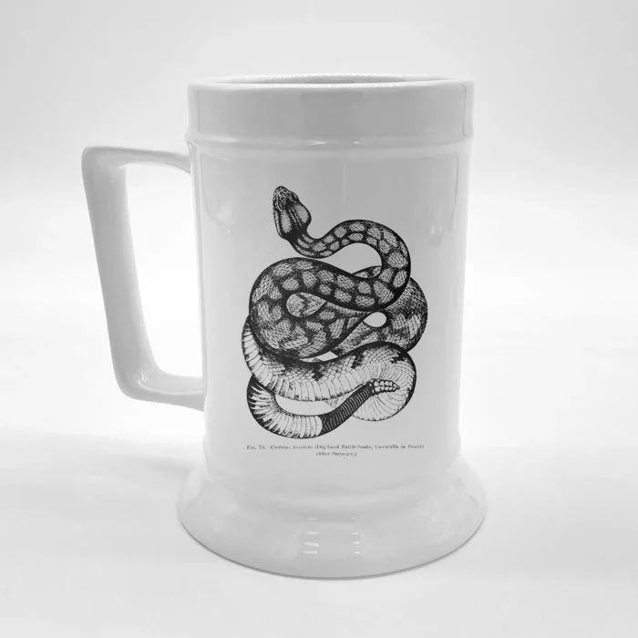 Vintage Ophiology South American Rattle Snake Tee Front & Back Beer Stein