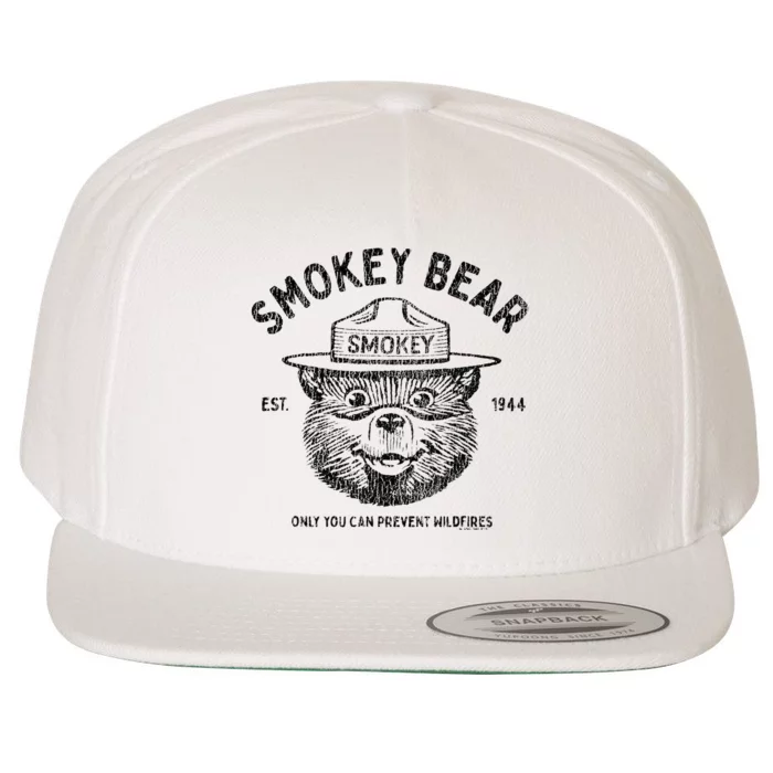 Vintage Only You Can Prevent Wildfires Wool Snapback Cap