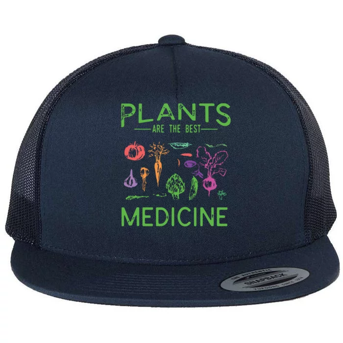 Vegan Plants Are The Best Medicine WFPBD Plant Based Flat Bill Trucker Hat