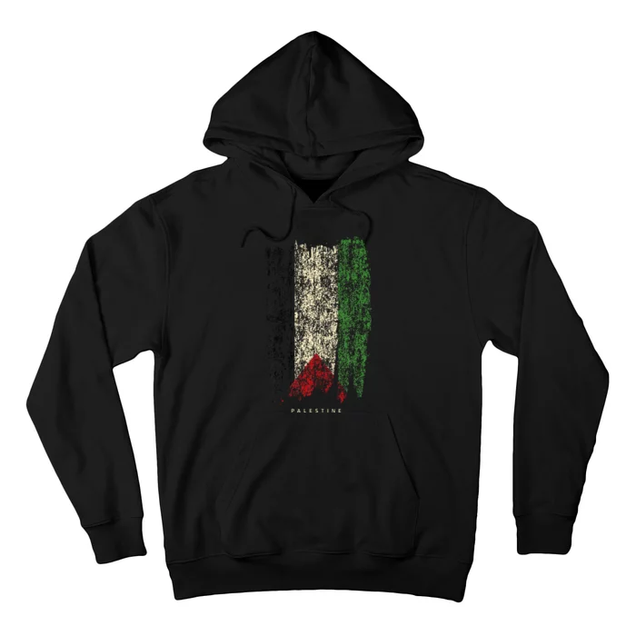 Vintage Palestine Flag Retro Palestinian Flag Palestinian Hoodie