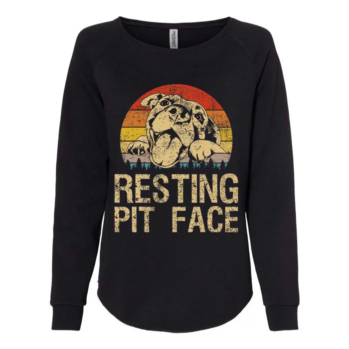 Vintage Pitbull Resting Pit Face  Funny Pitbull Lovers Womens California Wash Sweatshirt