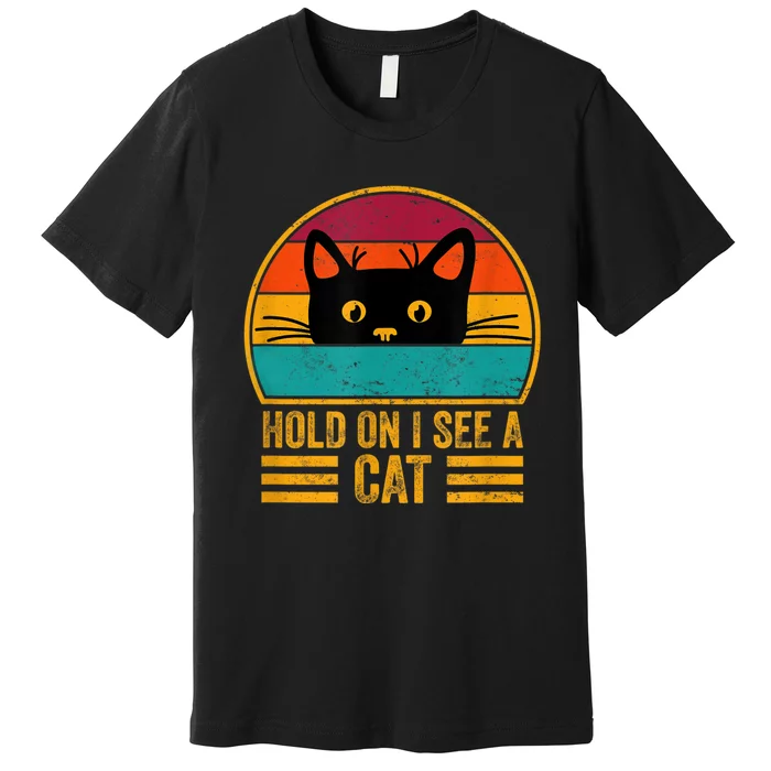 Vintage Retro Hold On I See A Cat Funny Cat Lovers Sayings Premium T-Shirt