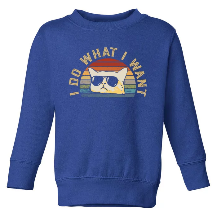 Vintage Retro I Do What I Want Funny Cat With Glasses Gift Toddler Sweatshirt