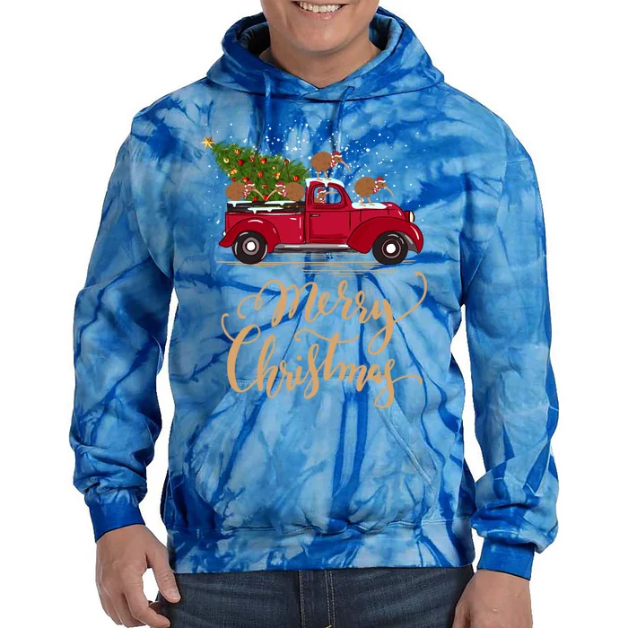 Vintage Retro Kiwi Drive Christmas Tree Truck Kiwi Christmas Great Gift Tie Dye Hoodie