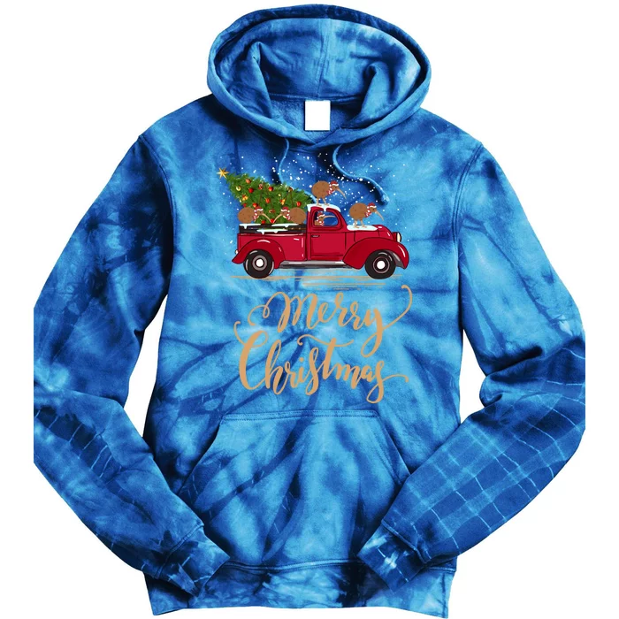 Vintage Retro Kiwi Drive Christmas Tree Truck Kiwi Christmas Great Gift Tie Dye Hoodie