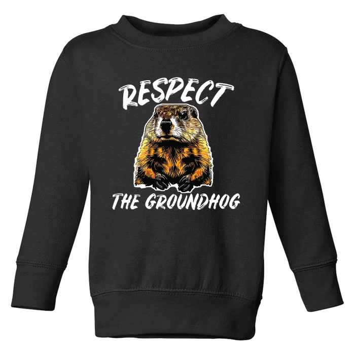 Vintage Retro Respect The Groundhog Holiday Toddler Sweatshirt