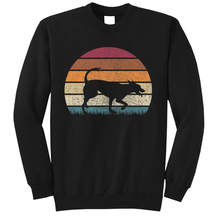 Vintage Retro Sunset Formosan Mountain Dog Lover Distressed Premium Sweatshirt