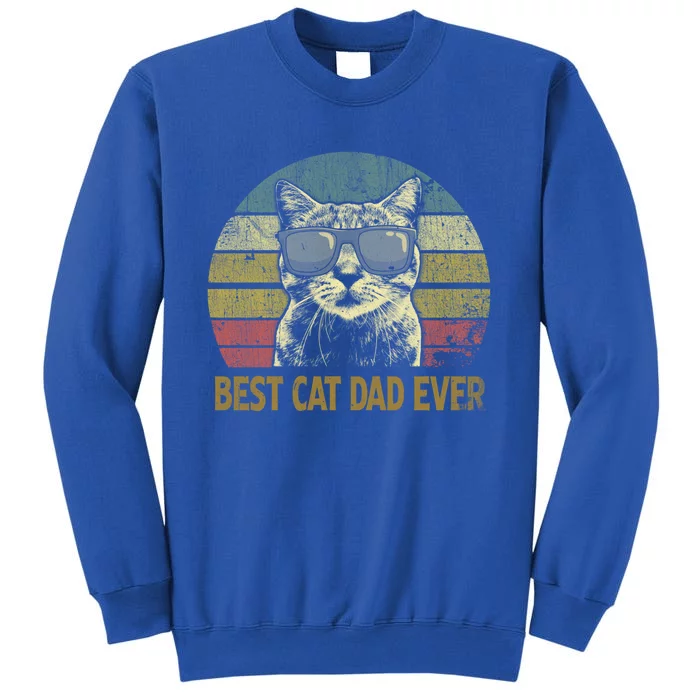 Vintage Retro Style Best Cat Dad Ever Fathers Day Cat Tee Funny Gift Tall Sweatshirt