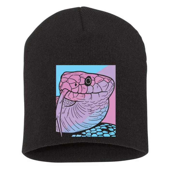 Vaporwave Snake Aesthetic Pastel Goth Serpent Short Acrylic Beanie