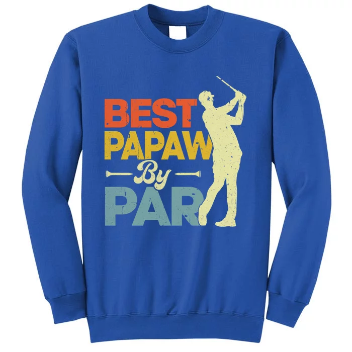 Vintage Style Best Papaw By Par Golf Lover Funny Fathers Day Gift Tall Sweatshirt