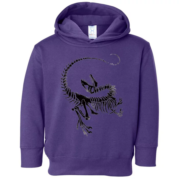 Velociraptor Skeleton Print Toddler Hoodie