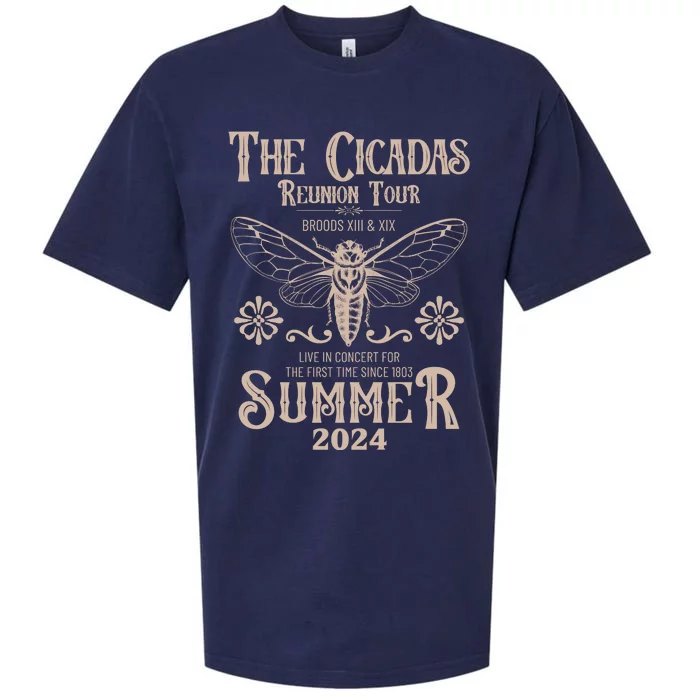 Vintage The Cicadas Reunion Tour Broods Xiii And Xix Summer 2024 Sueded Cloud Jersey T-Shirt