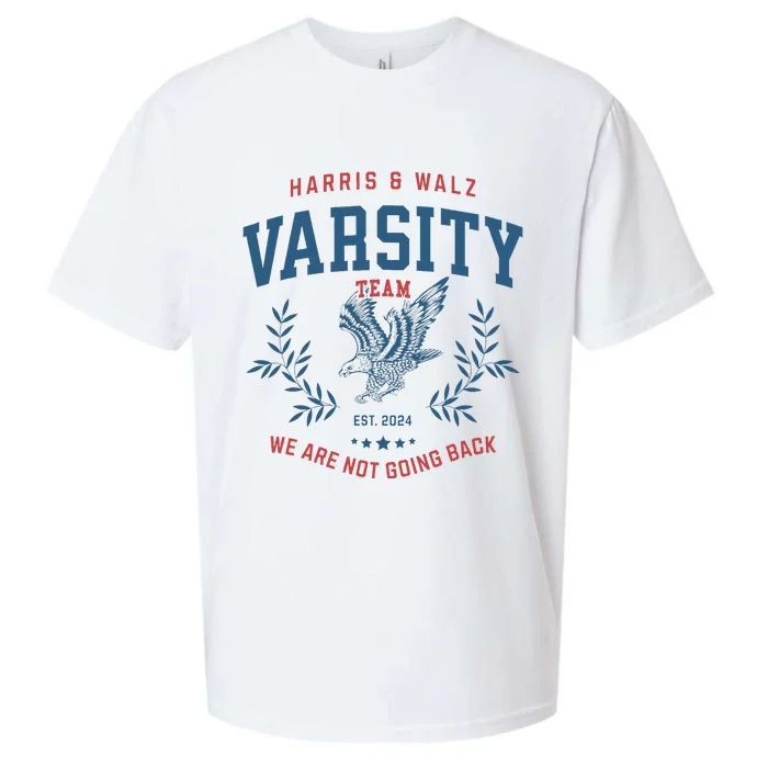 Varsity Team Harris Walz 2024 Sueded Cloud Jersey T-Shirt