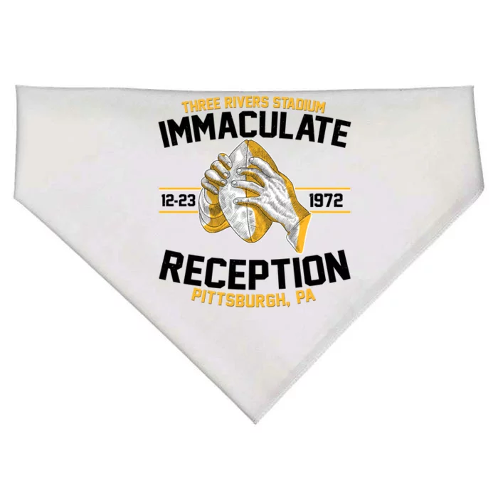 Vintage Three Rivers Stadium Immaculate Reception Football USA-Made Doggie Bandana