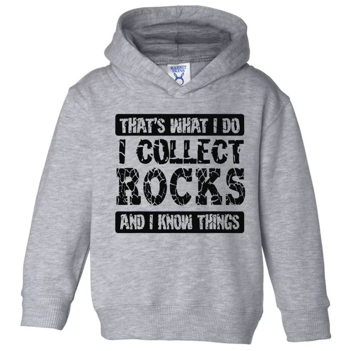 Vintage That's What I Do I Collect Rocks Funny Geologist Toddler Hoodie