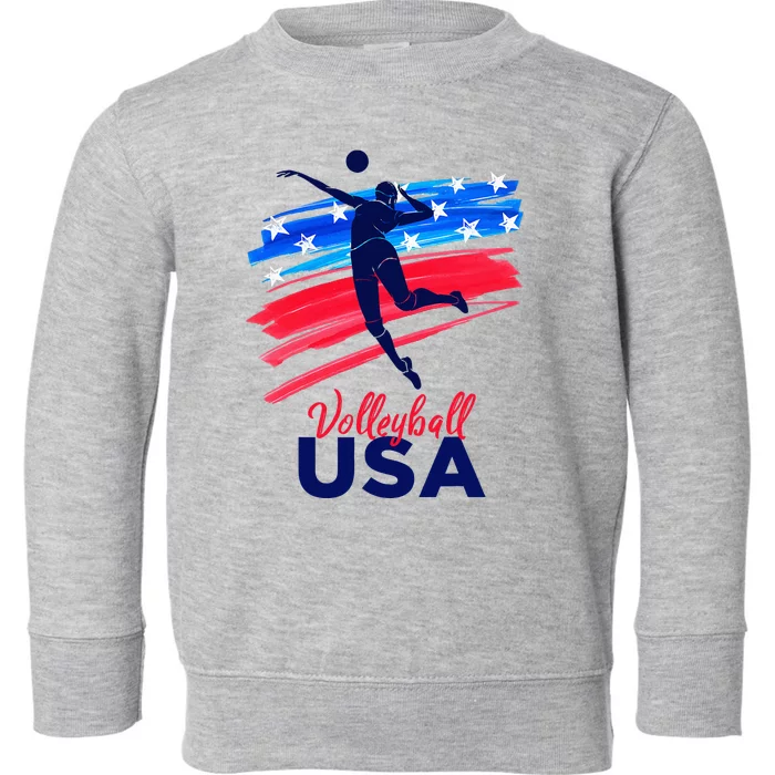 Volleyball Usa Support Toddler Sweatshirt