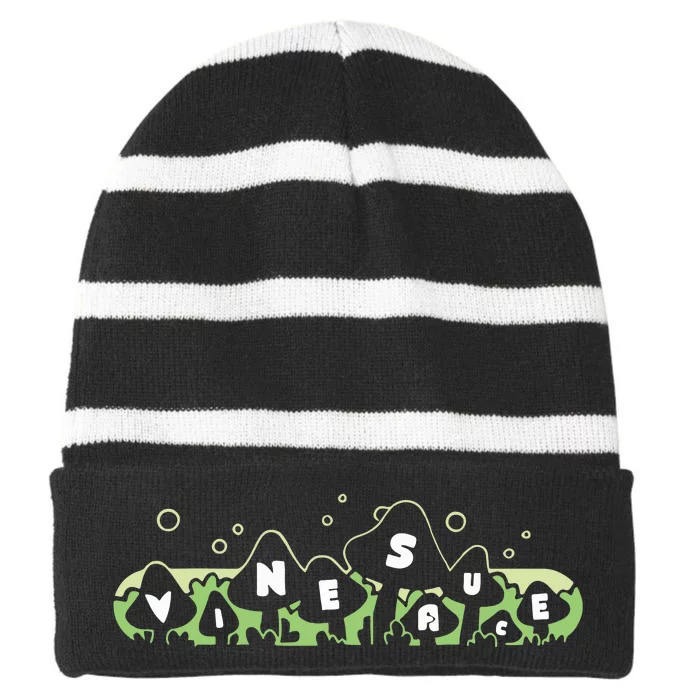 Vinesauce Striped Beanie with Solid Band