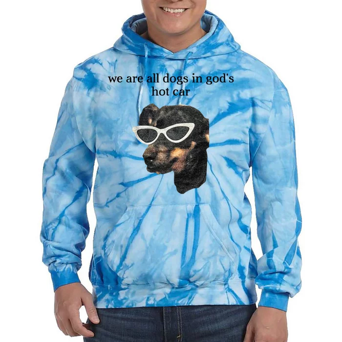 We Are All Dogs In God’S Hot Car Tie Dye Hoodie